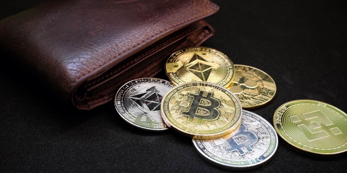 Crypto Wallet Market Threats The Danger of Losing Private Keys and User Errors