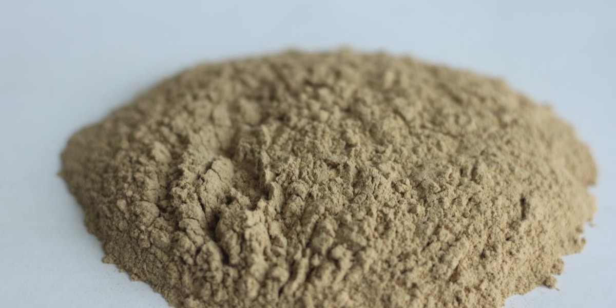 Feed Enzymes Market Overview Research on Dynamics and Strategic Moves Shaping the Future