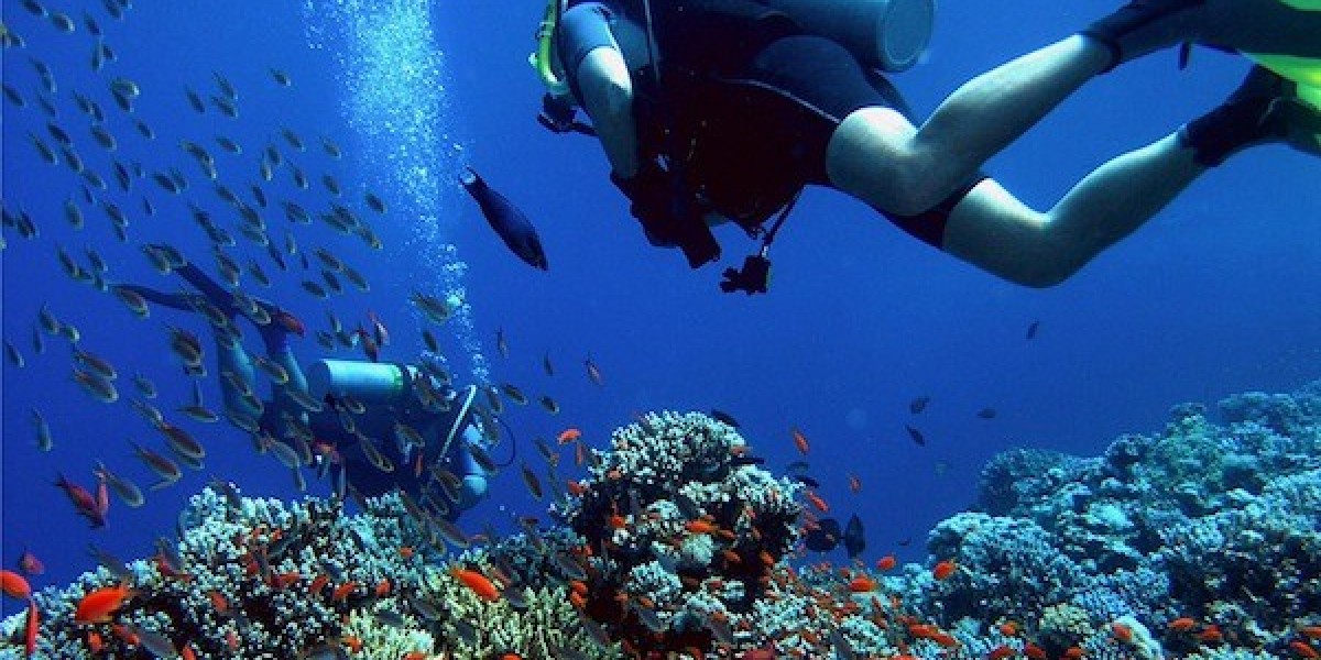 Technological Advancements in Dive Slates: What’s Next?