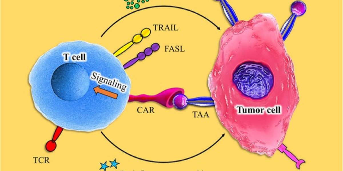 علاج الخلايا التائية CAR-T، خطوة ثورية في علاج السرطان