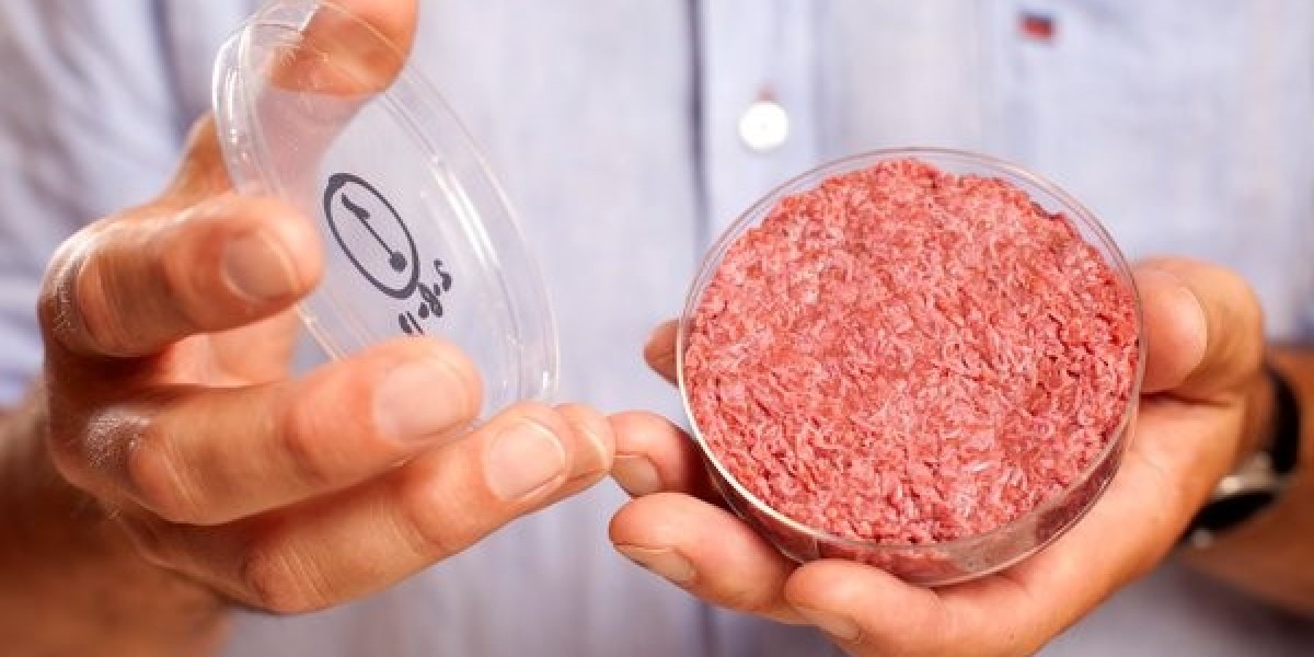 Consumer Perspectives on Cultivated Meat in Southeast Asia