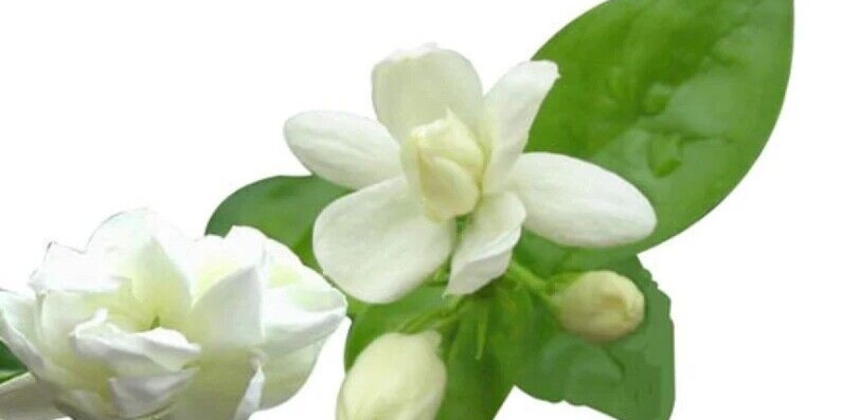 Jasmine Extract Market Dynamics: Challenges and Solutions