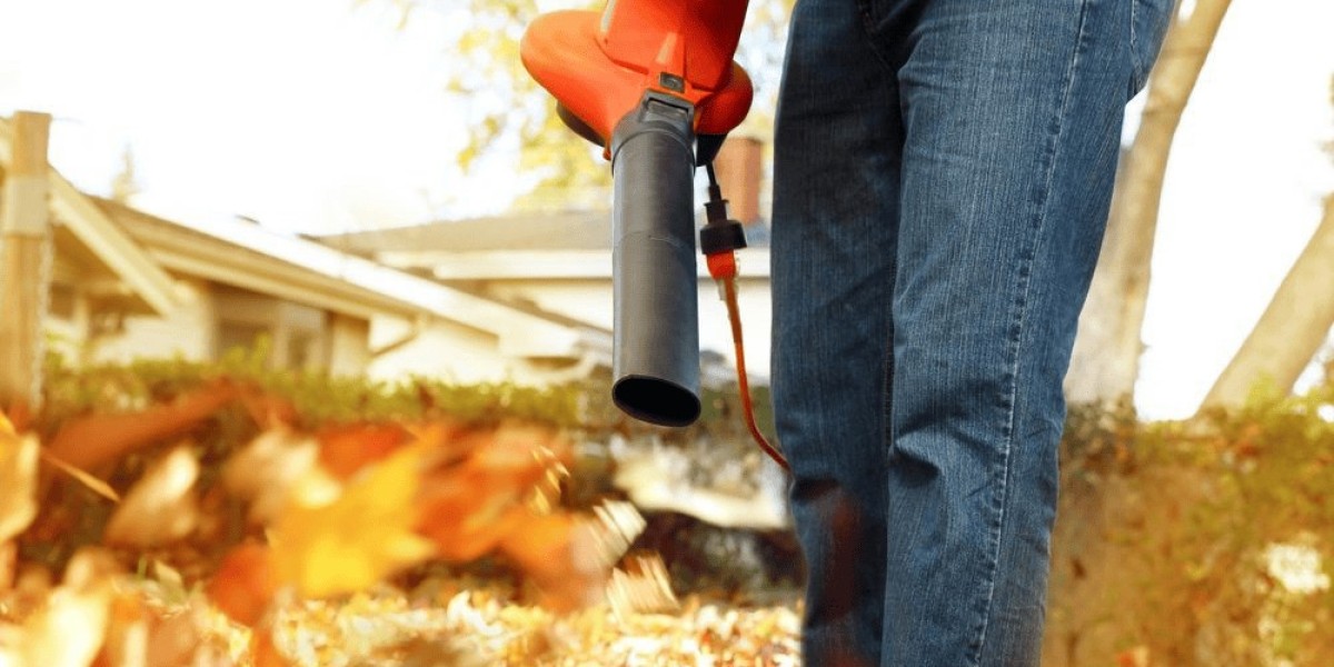 DIY Made Easy with Best of Machinery: Helpful Guides for Home Projects