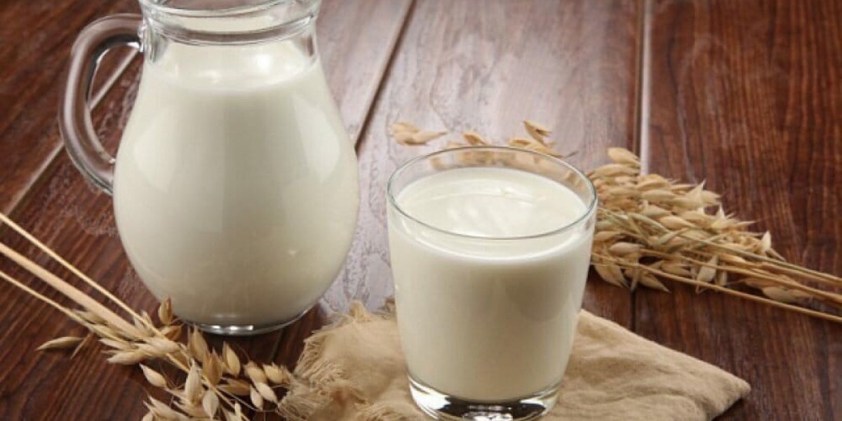 Dairy Alternatives Market: Emerging Technologies in Plant-Based Dairy Products