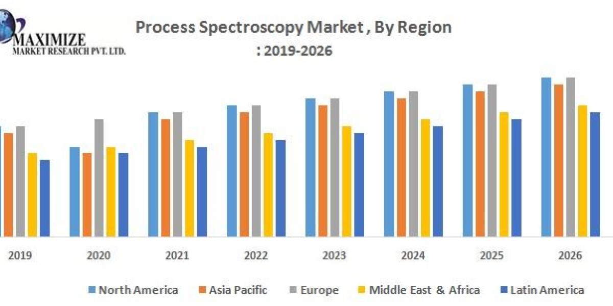 Unveiling the Process Spectroscopy Market Size: Key Players and Market Trends