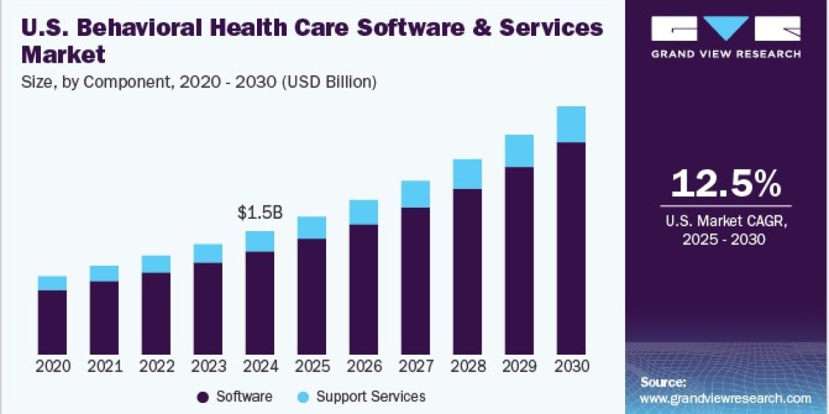 U.S. Behavioral Health Care Software And Services Market 2030: Innovations in Anxiety Management
