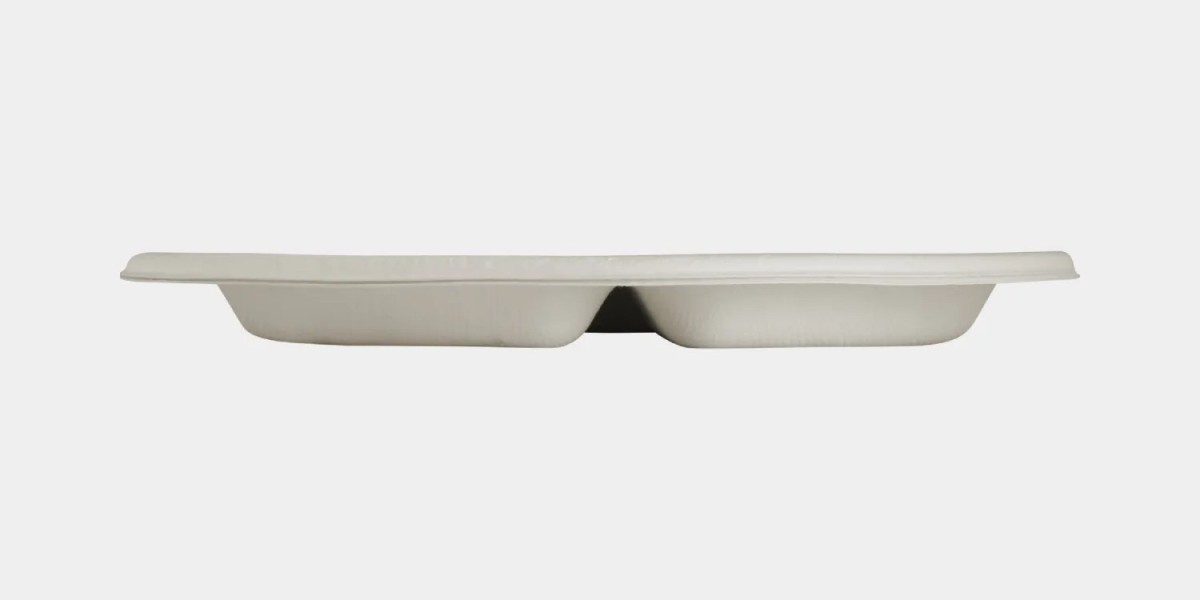 A Complete Buyer’s Guide: Choosing the Right Biodegradable Plates for Your Needs