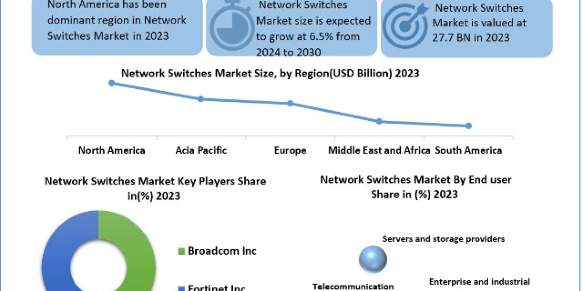 Network Switches Market Opportunities, Sales Revenue, Leading Players and Forecast 2030