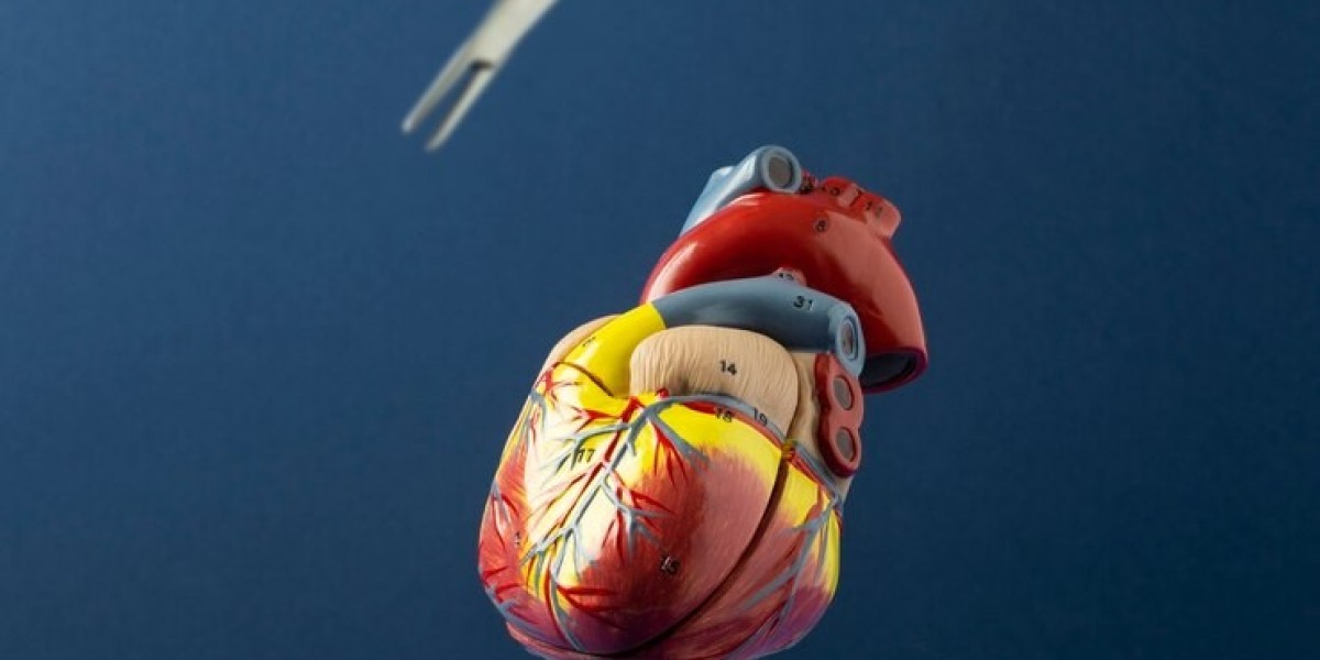 Prosthetic Heart Valves Market Scenario and the Post-COVID Recovery