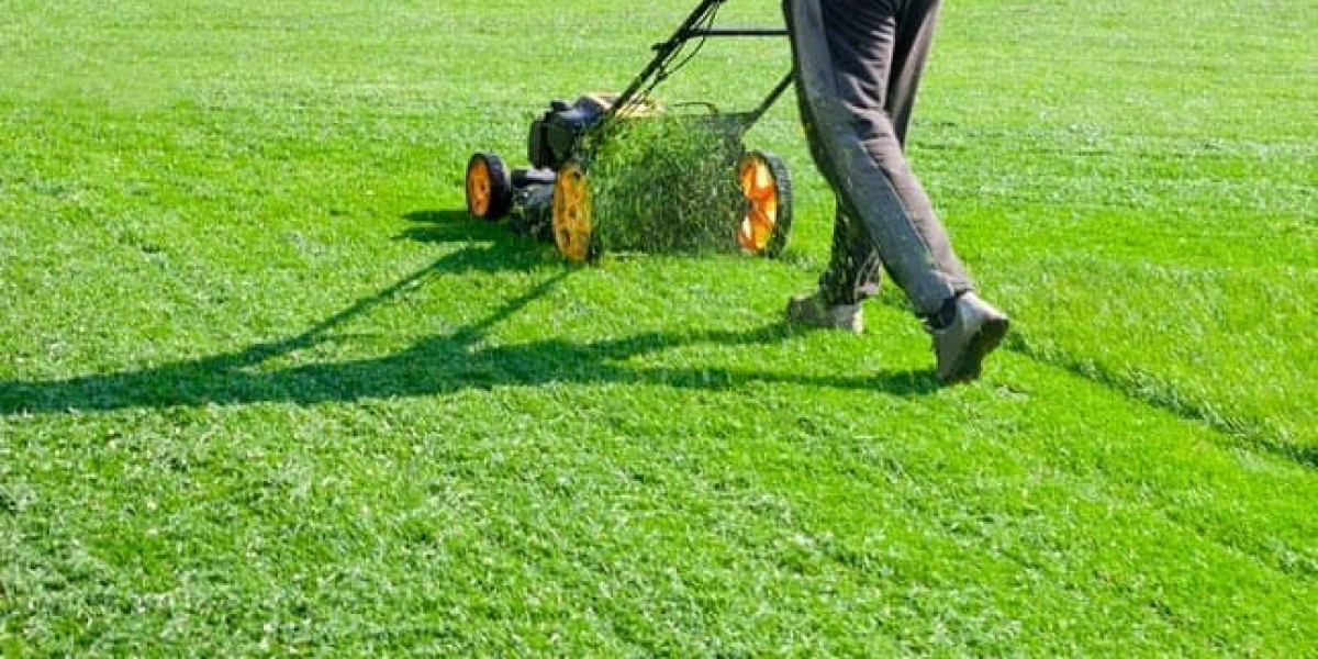How to Properly Maintain and Store Your Lawn Equipment