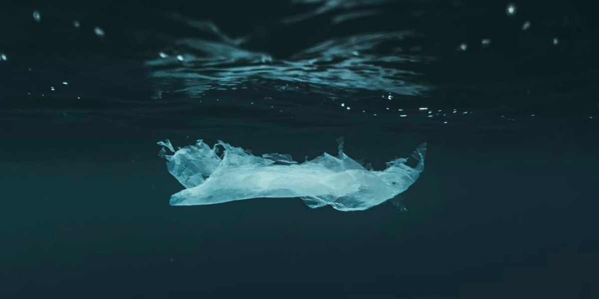 Water Soluble Bag Market Innovations Shaping Future Sustainable Packaging Solutions