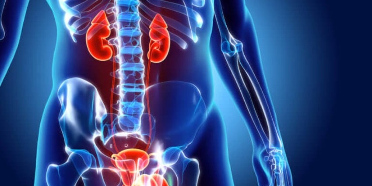 Common Urological Issues: Symptoms You Shouldn’t Ignore