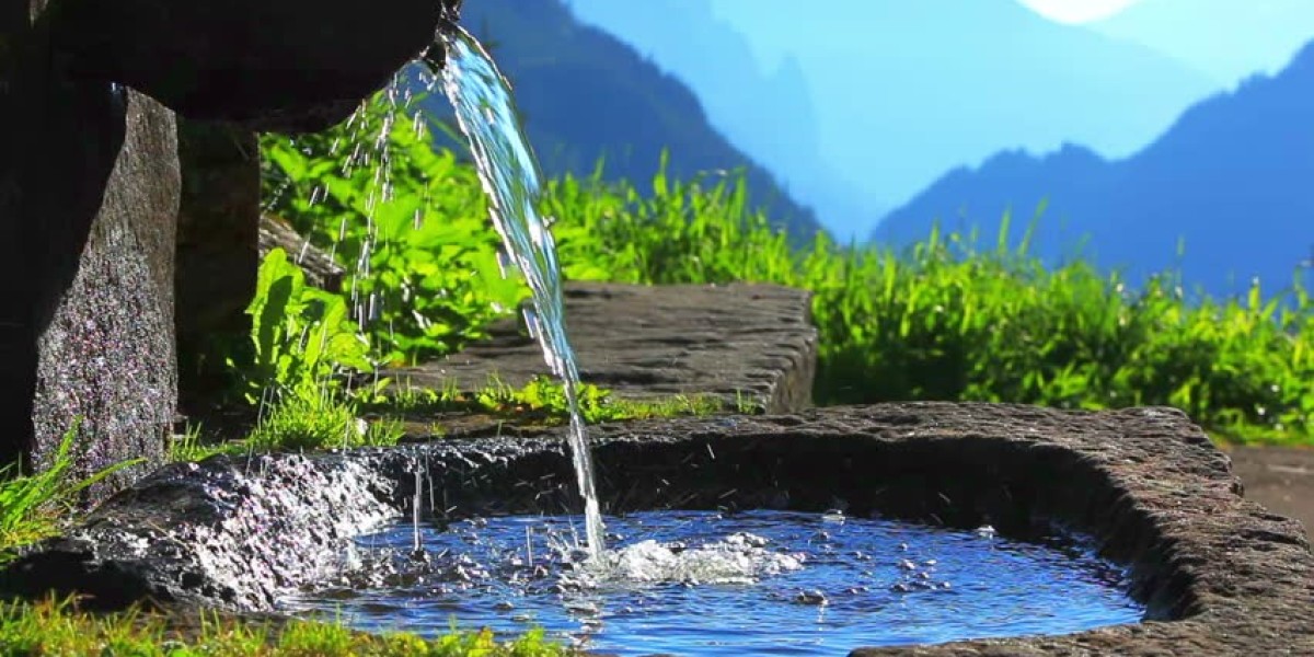 Regional Analysis of the Spring Water Market