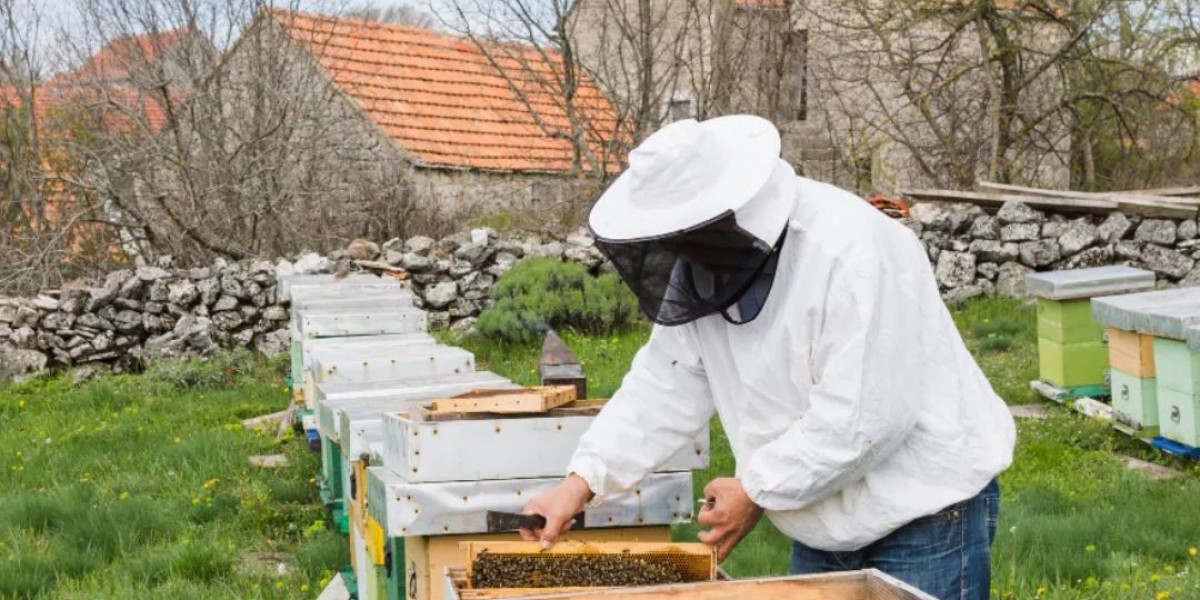Bee Removal in Dandenong