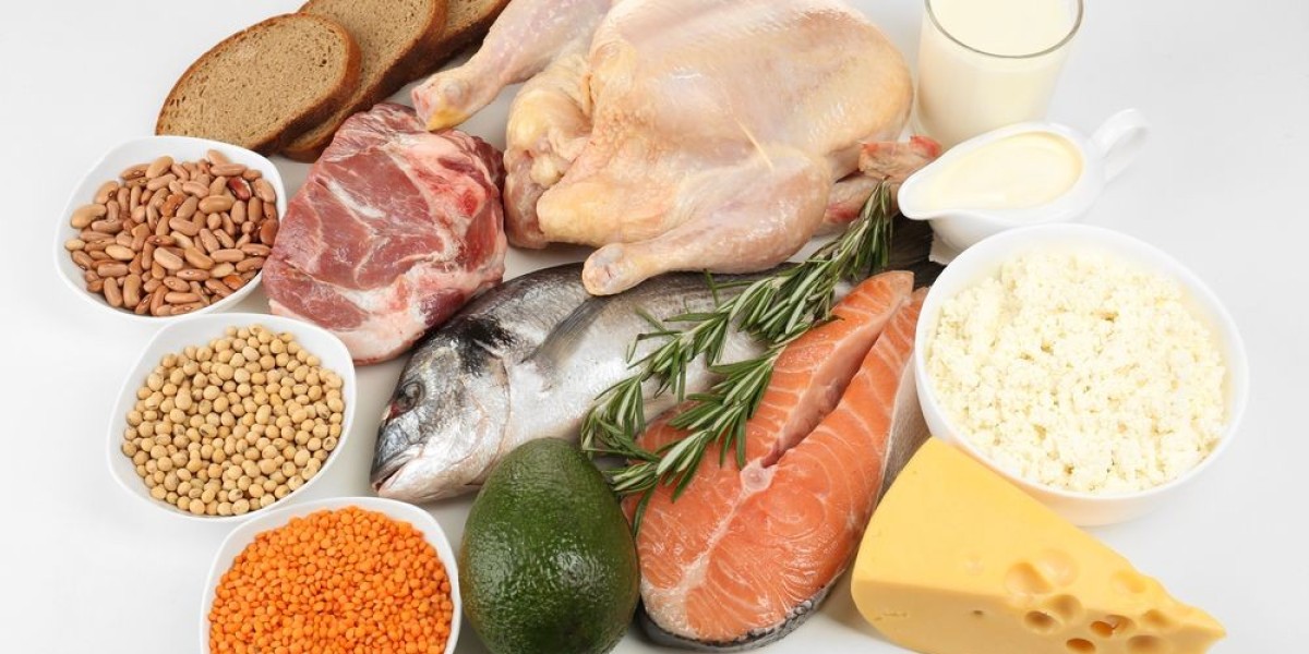The Evolution of the Protein Ingredients Market: Key Milestones (2019-2029)