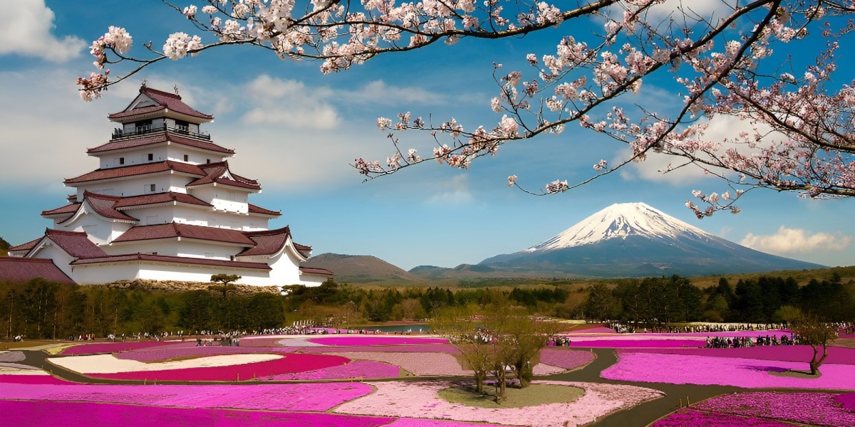Top Must-See Landmarks in Nagoya Japan