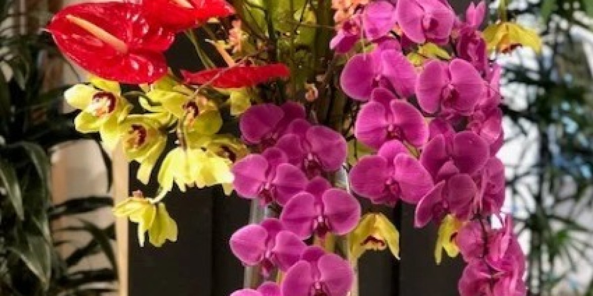 Stunning Flower Bouquets in Houston – Handcrafted with Love