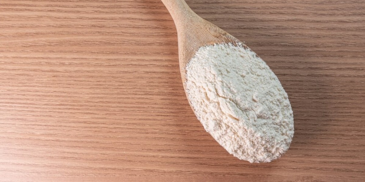 Roll-Dried Starch Market Recent Developments and Industry Insights