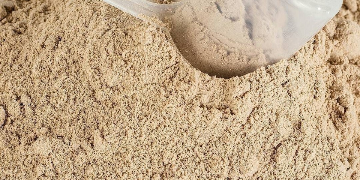 Impact of Fitness Trends on the Beef Protein Powder Industry Growth