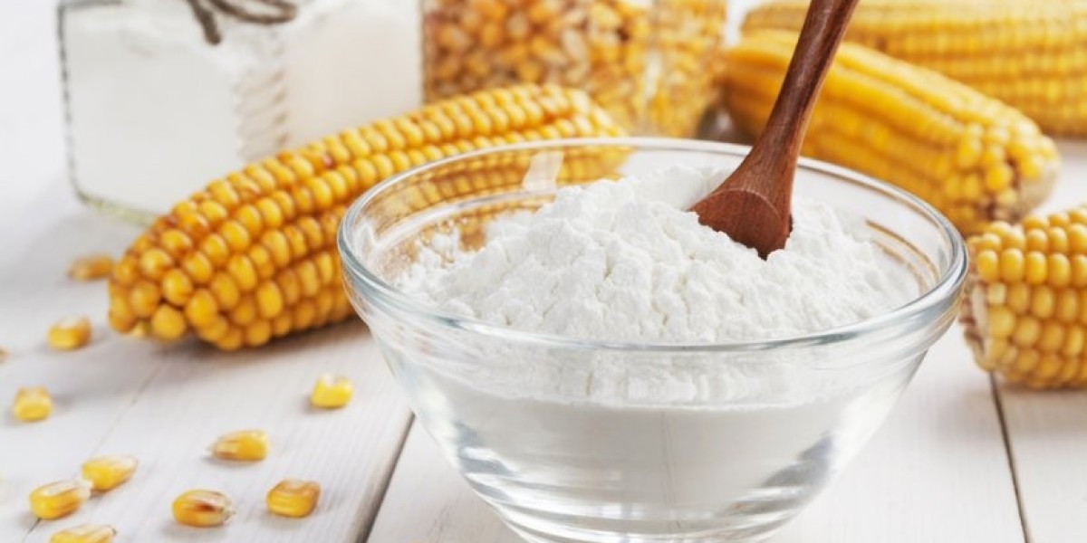 Future Outlook: Waxy Maize Starch Market Growth Strategies