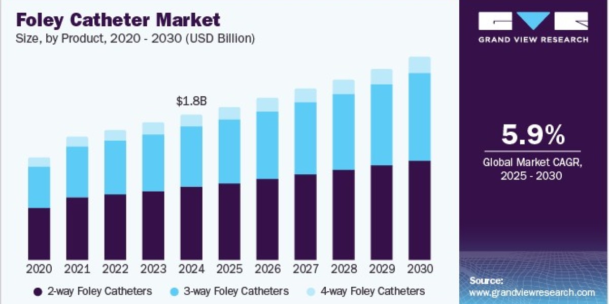 Foley Catheter Market 2030: Innovations in Infection Prevention