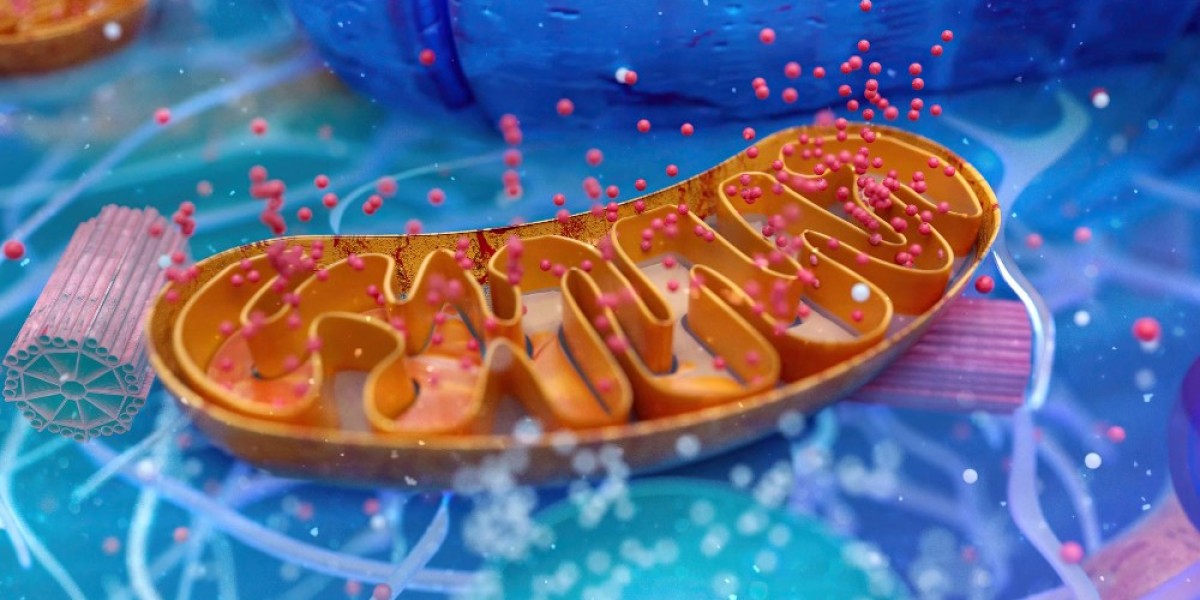 Understanding the Global Campylobacter Infections Market