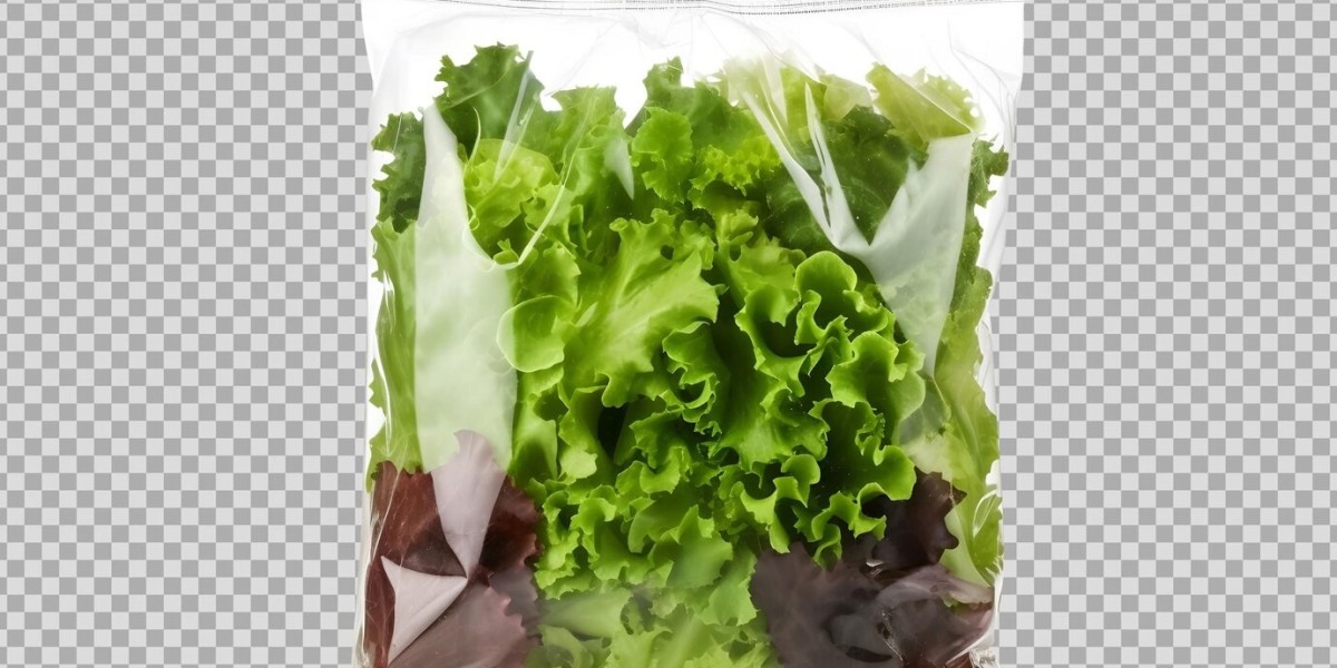 Freezer Bags Market Pain Points Affected by Competition from Alternatives