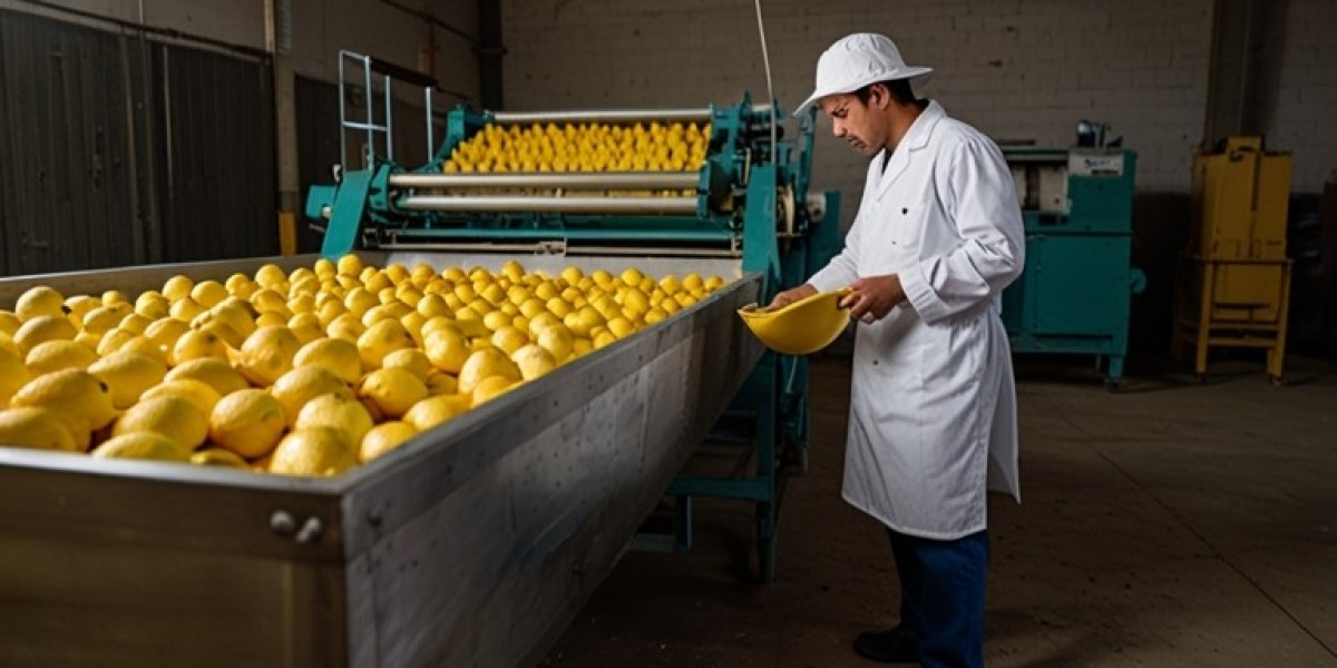 lemon processing Setup Cost 2025: Layout and Raw Material Requirements