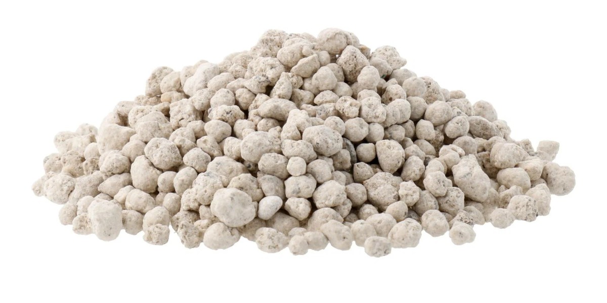 Silicon Fertilizers Market Economic Factors Driving Growth, Demand, and Agricultural Advancements Worldwide