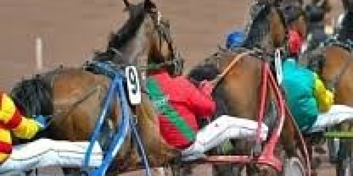 Duel du Quinte: Everything You Need to Know About the Quinté+ Horse Racing Challenge