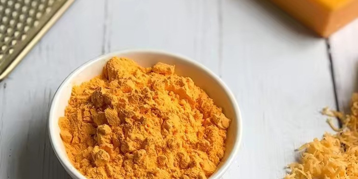 Cheese Powder Market Growing Amid Consumer Demand for Convenience