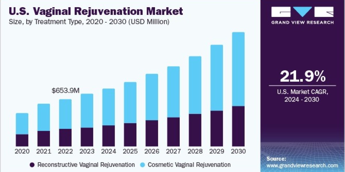 Vaginal Rejuvenation Market 2030: Exploring Surgical Options