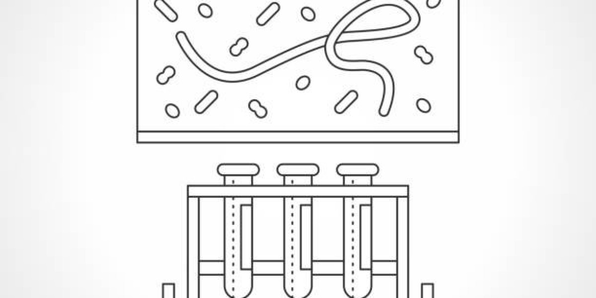 Stable Cell Line Development Market Growth Unveiled: Strategic Future Insights 2024-2032