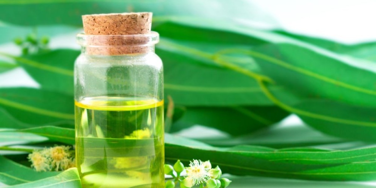 Eucalyptus Oil Market Segmentation: Types, Applications, and End-Users