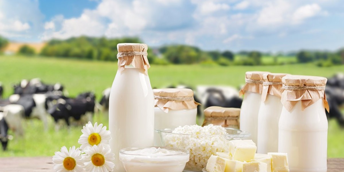 Dairy Enzymes Market Shifts: Exploring Key Trends and Innovations in the Dairy Industry