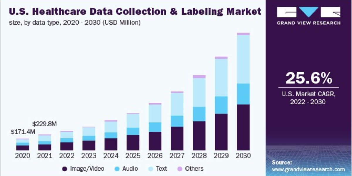 Healthcare Data Collection And Labeling Market 2030: Spotlight on Market Segmentation