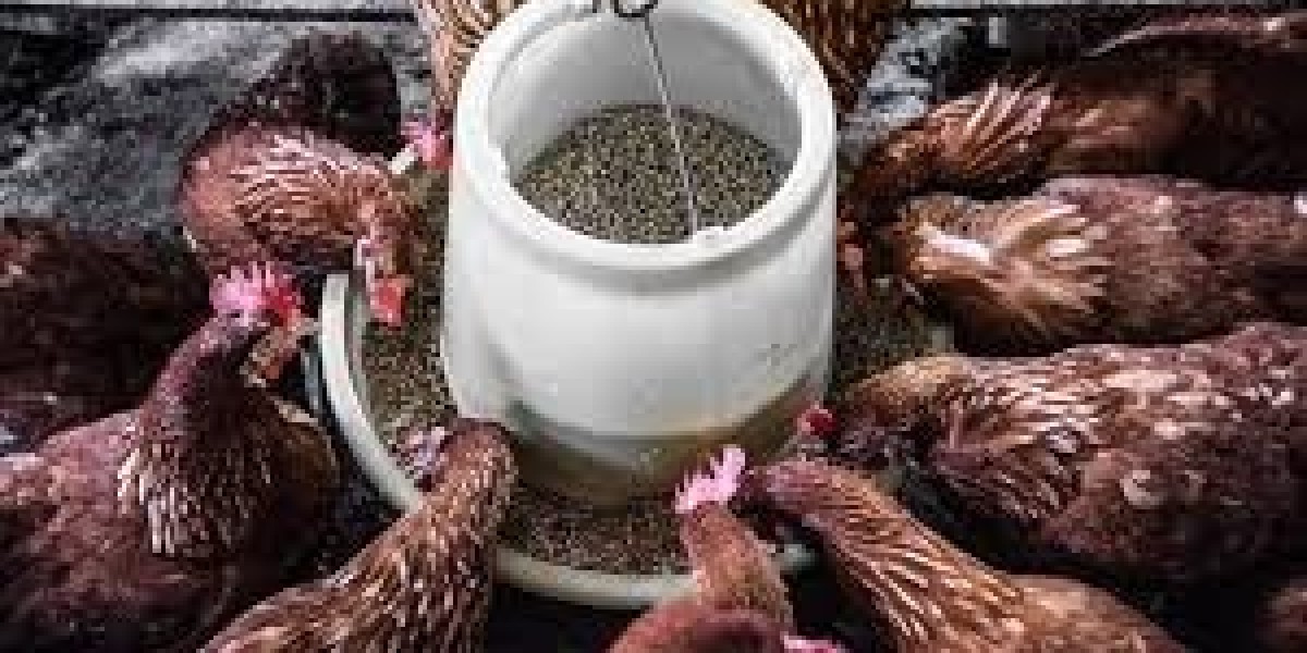 Animal Feed Additives Market Developments: The Role of Probiotics, Preservatives, and Enzyme-Based Additives in Animal N