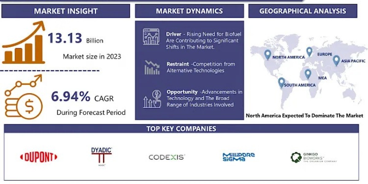 Enzymes Market To Surpass USD 24.02 Billion By 2032, Share, Trends, Growth And Competitive Analysis