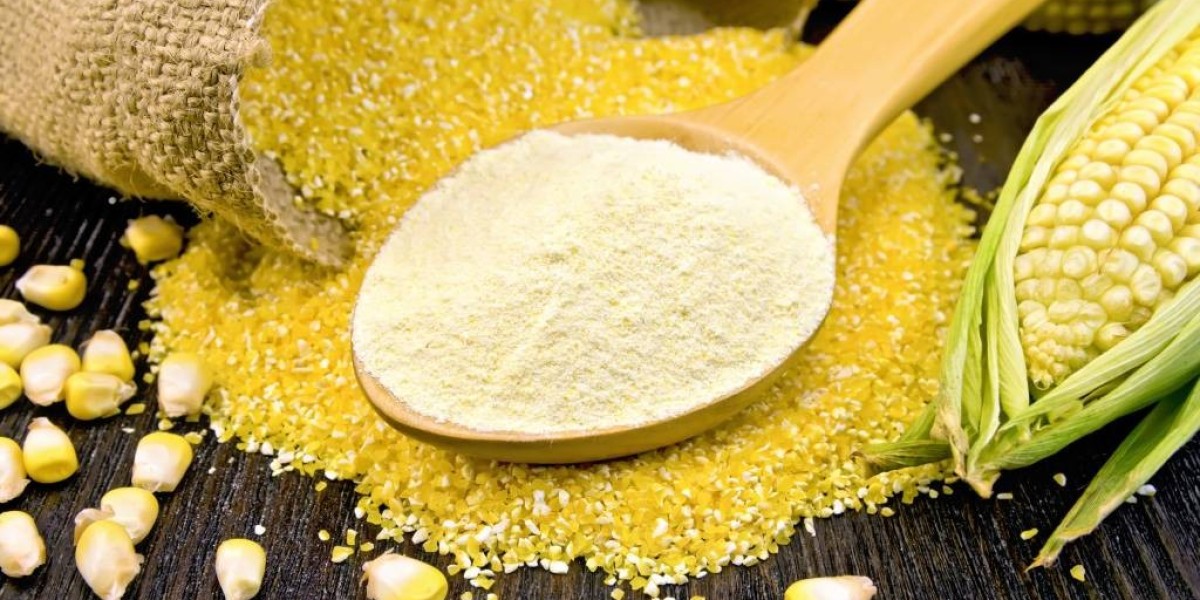 Precooked Corn Flour Industry Forecast: Market Drivers & Restraints Through 2029