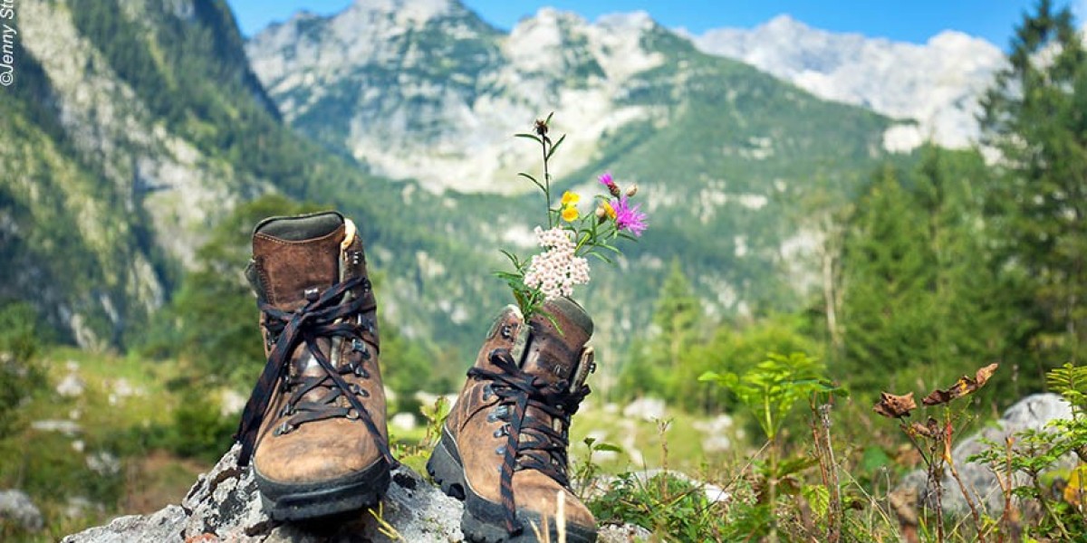 Hiking Footwear Market Saturation and Its Impact on Innovation, Competition, and Consumer Buying Decisions