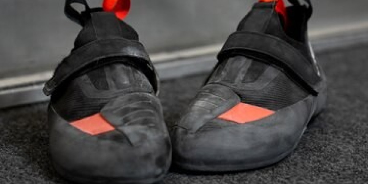 Gym Shoes Market Growth Innovations in Technology Enhancing Performance