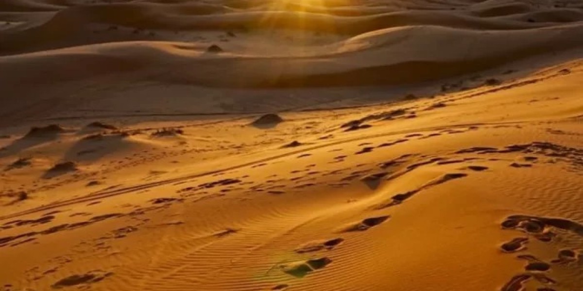 Discover the Sahara: Unforgettable Fes Desert Tours with Desert Discovery Tours