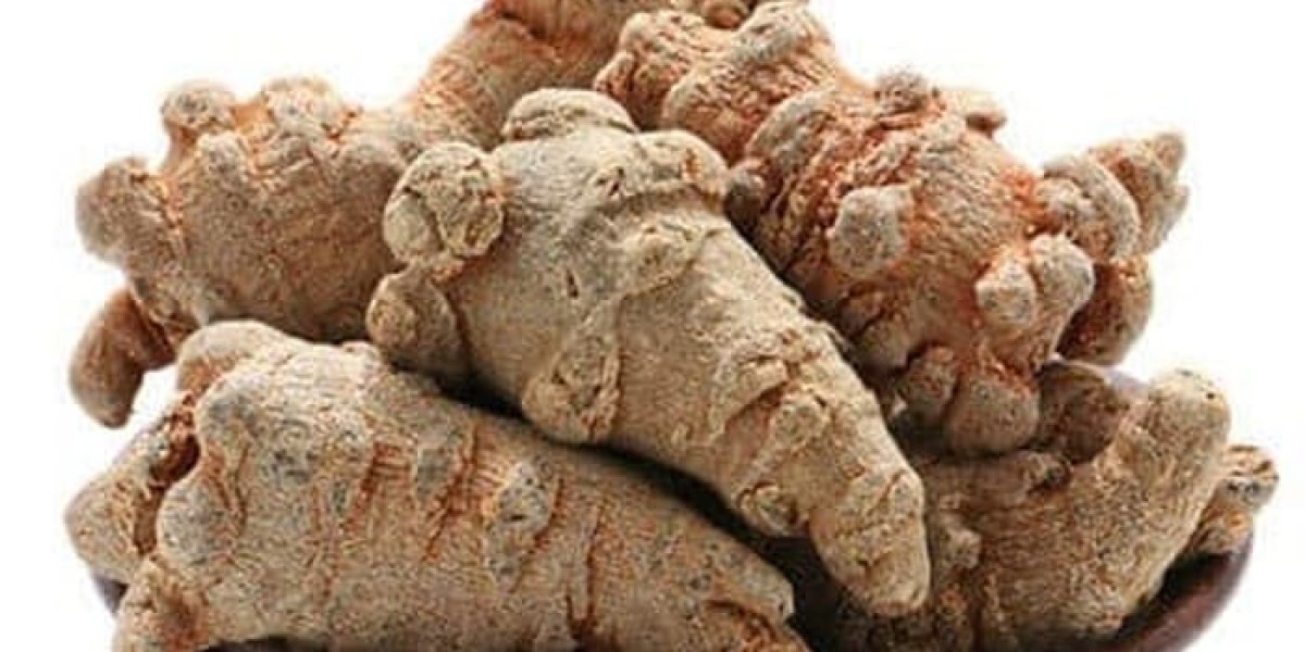 Sustainable Sourcing and Production Trends in the Notoginseng Extract Market