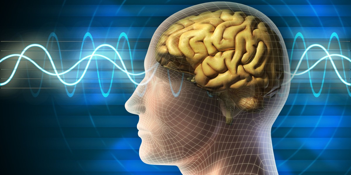 https://www.facebook.com/NeuroZoomBrainBooster/