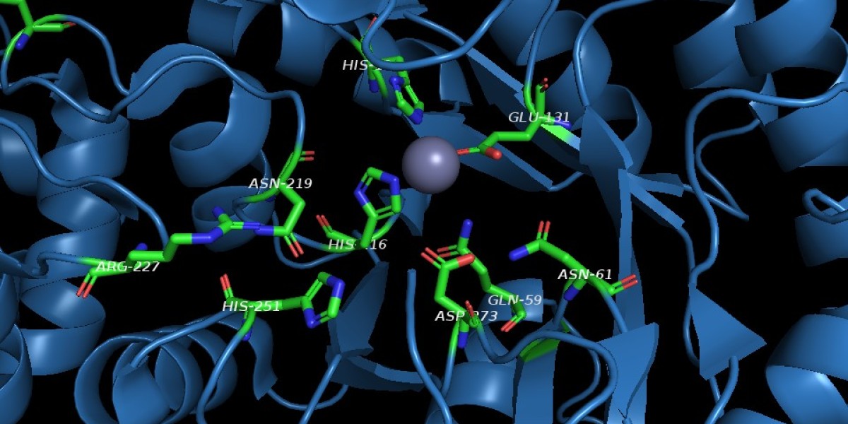 Investment Opportunities in the Acetylglucosamine Market: What You Need to Know