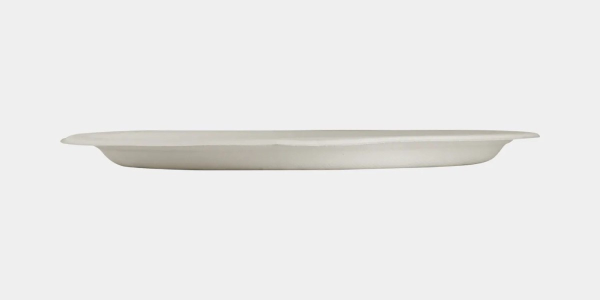 6-Inch Biodegradable Bagasse Square Plate – A Greener Way to Dine