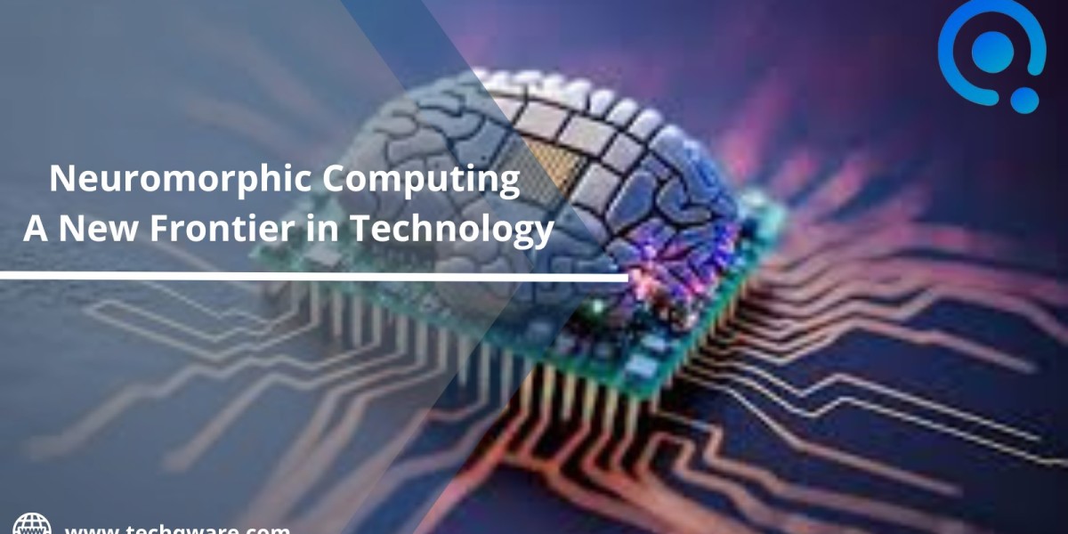 How Much Does it Cost to Build a Neuromorphic Computing Services in Japan?