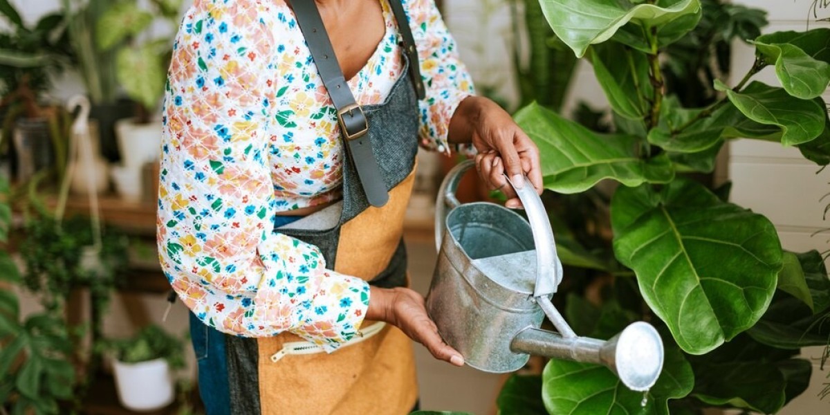 Liquid Fertilizers Market Exploring the Growth Factors Behind Success