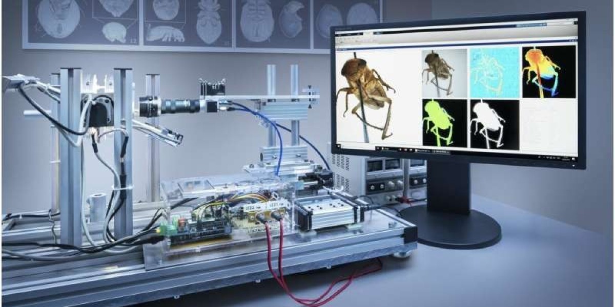 The Bio Imaging Market: Key Competitors and Future Growth Opportunities