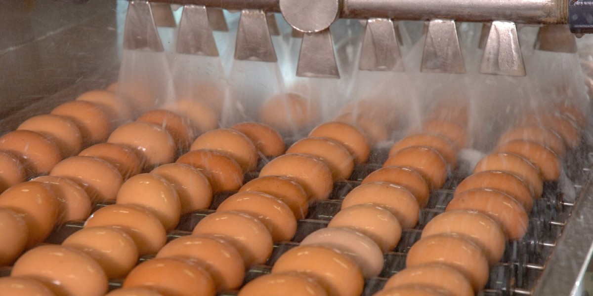 Egg Wash Alternative Market Insights: Growth, Trends, and Innovations